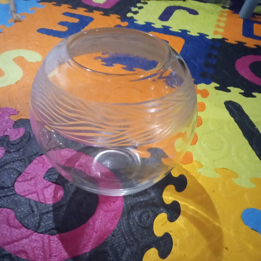 Goldfish Bowl